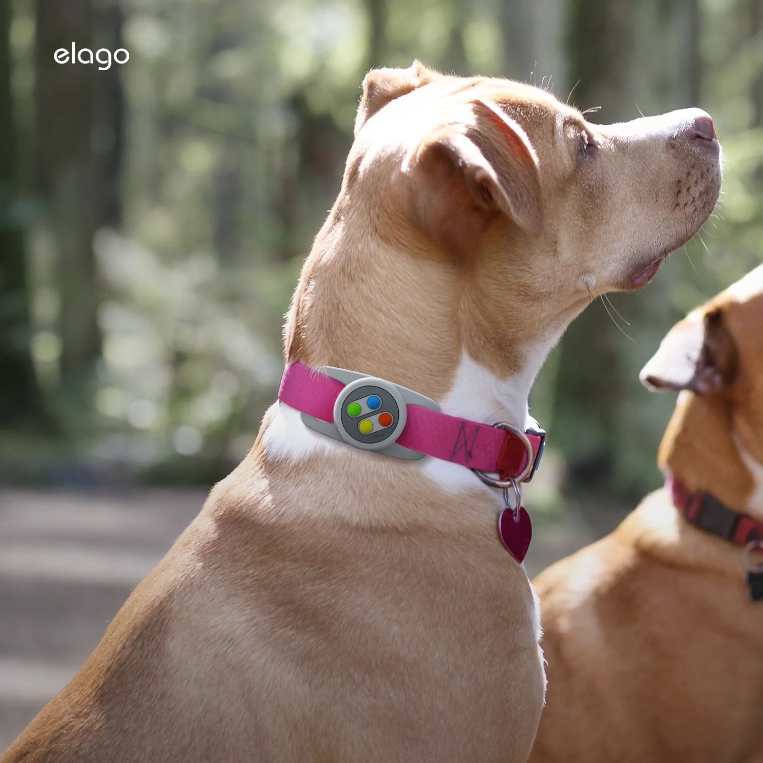 Pet Collar W5 Case [2 Colors] - Image 9